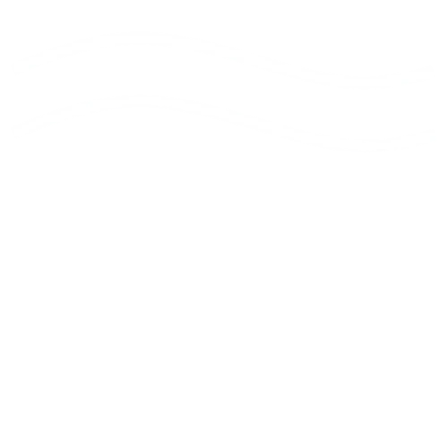 Pacific Strategy Partners